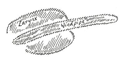 104-11-01