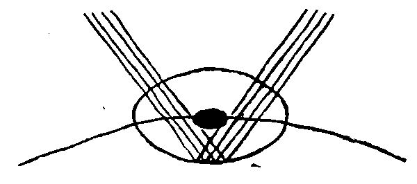 sbfigure11