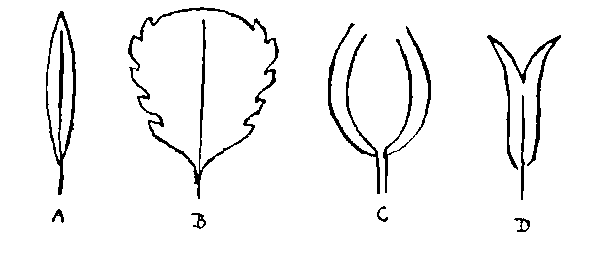 sbfigure2