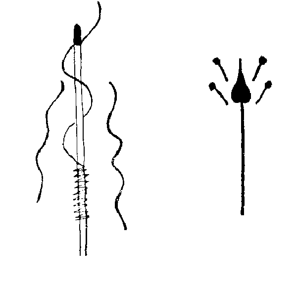 sbfigure9