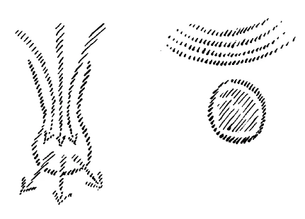 136-03