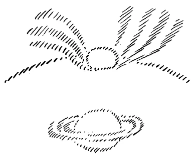 136-12