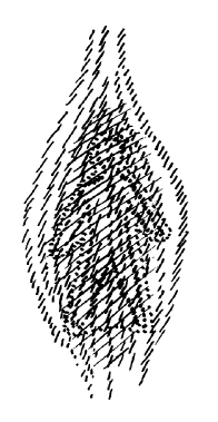 141-01