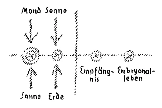 Diagram 10