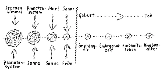 Diagram 13
