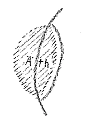 162-34