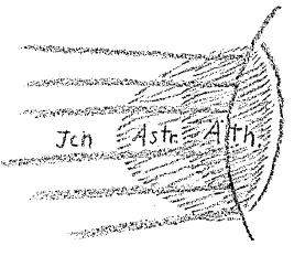 162-36