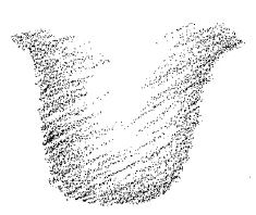 162-41
