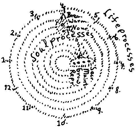 19160815p020