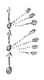 170-11