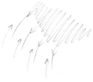 173a-06