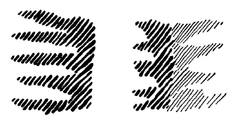 183-19
