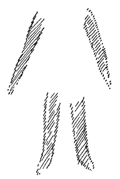183-20