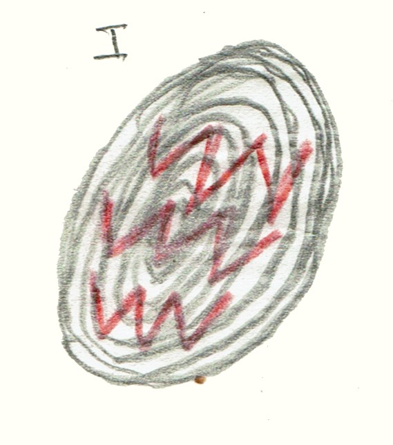 colfreealt_image002