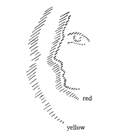 199-06