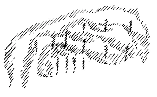 199-26