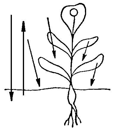 manhier0201
