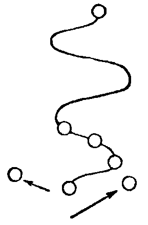 manhier0204