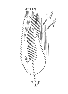 19201225p01_html_5f553aae