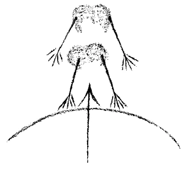 202-02