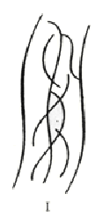 316-B1-01