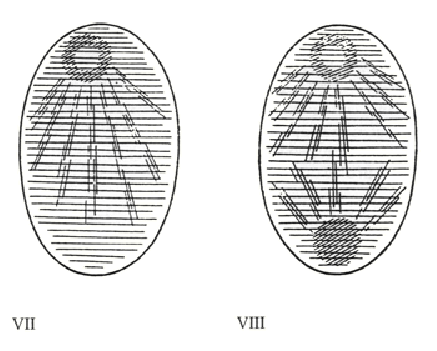316-B2-01