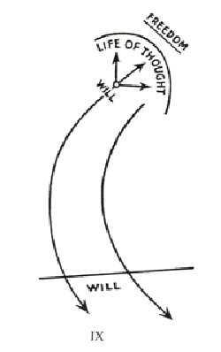 316-B3-01