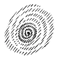 202-11