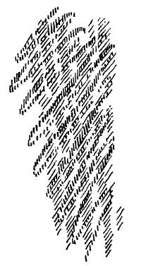 202-15