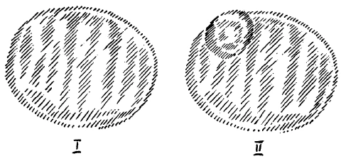 202-17