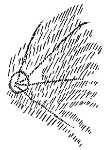 203-03