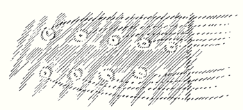 204-0401
