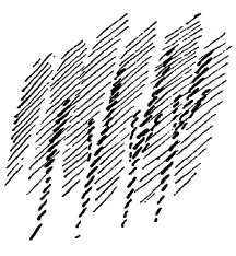 205-03