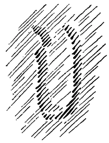 205-05