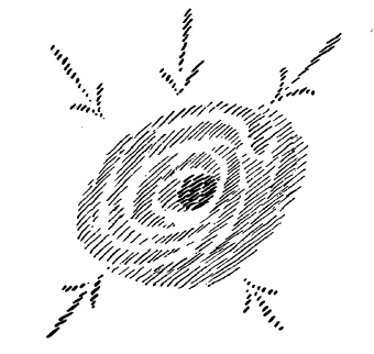 205-06