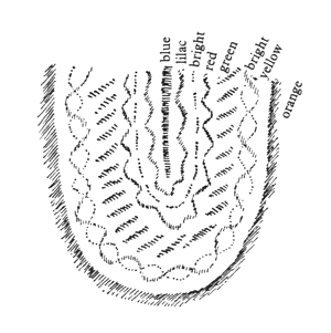 207-01-06