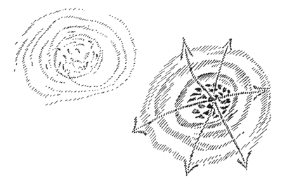 207-02-02