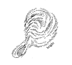 207-04-03