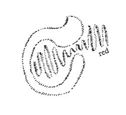 207-04-04
