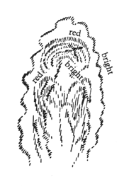 207-07-02