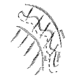 207-09-01