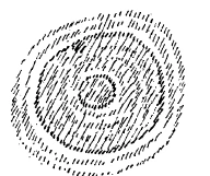 208-06