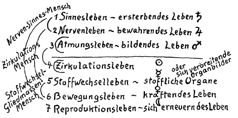208-13