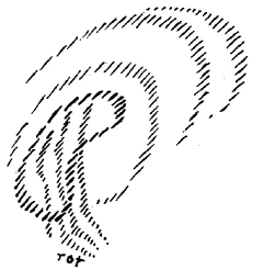 208-17