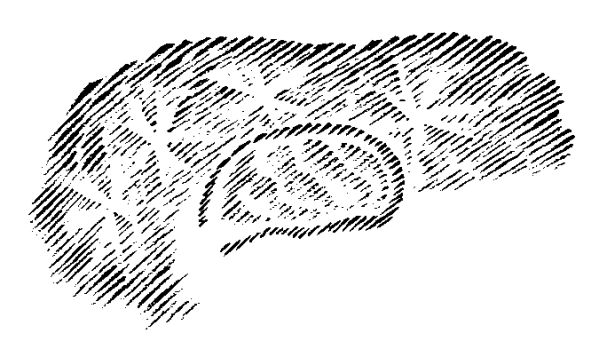 19220217p01_html_m4f860faf