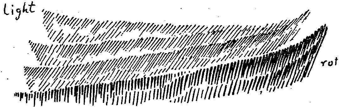 19230121p01_html_d282d86