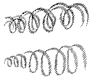 220-19