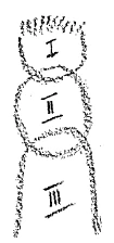 227-04