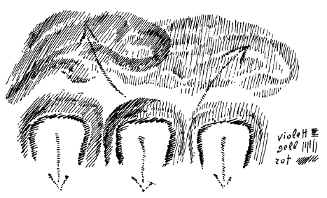 291-18