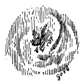 291-19